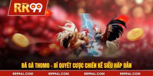Đá Gà Thomo